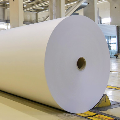 Industria papelera, maderera y del corcho